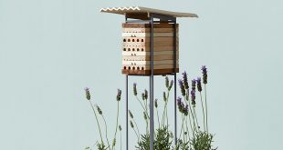 طراحی خانه‌ برای زندگی زنبورهای گوشه‌نشین شهری! | طراحی محیط زیست